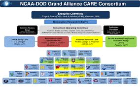 About Care Consortium