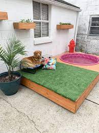 Backyard Ideas For Dogs That Dig The