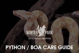 boa and python care guide winter park