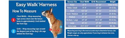 Petsafe Easy Walk Dog Harness No Pull Dog Harness Raspberry Gray Medium Large