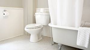 Elongated Vs Round Toilets Which