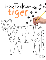 how to draw a tiger step by step