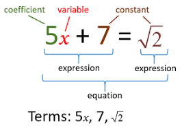 terms variables coefficients and