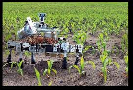 Automation in Agriculture using AGROBOT
