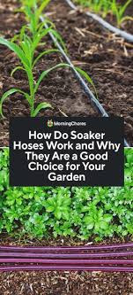 how to install and use a soaker hose in