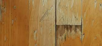 Repairing Water Damaged Wood Floors