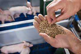sustainable feed a journey from mill