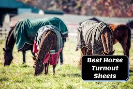8 best horse turnout sheets 2023