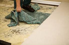 water damaged carpets to indoor air
