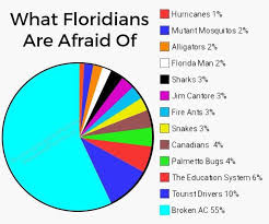 I Hate Pie Charts On The Best Of Days But This Really