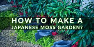 Japanese Moss Garden Indoor Gardening