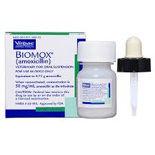 Biomox Amoxicillin Oral Suspension 50 Mg Ml 15 Ml Bottle When Mixed
