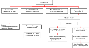 se iii non small cell lung cancer