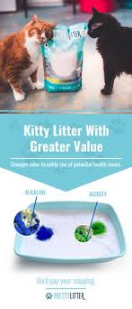 29 Best Cats Love Prettylitter Images Cats Cat Love Cats
