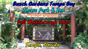 busch gardens ta bay theme park