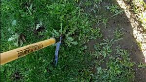 Grampa's Weeder! Broke it within an hour. Full review and Upgrade! - YouTube