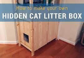 How To Cat Litter Box Living