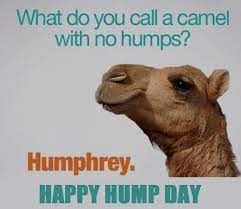 Hump day stock photos and images. Funny Good Morning Images Quotes Happy Hump Day Take Care Of Each Other And Keep Safe Chris Facebook