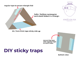 how to make sticky traps angelica isa
