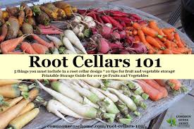 Root Cellars 101 Root Cellar Design