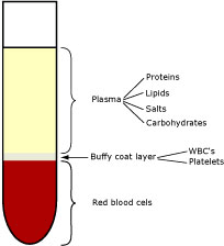 Hematocrit A Review Of Different Analytical Methods