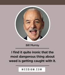In a june 2018 profile of the actor published by the guardian, he said on the the words from the post were submitted as a bill murray quote on june 15, 2018. 100 Best Weed Quotes Of All Time Weediom