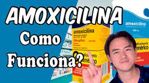 amoxicilina como funciona you
