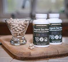 sea moss pills benefits, sea moss capsules benefits