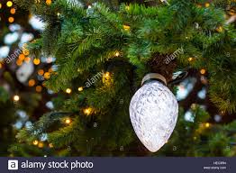 Large Light Bulb On A Christmas Tree Lights On A Large