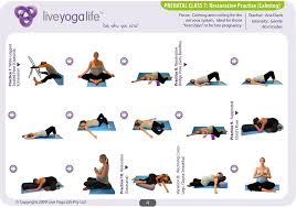 prenatal yoga complete set cles 1