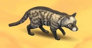 These animals have a highly carnivorous diet. African Civet Zoo 2 Animal Park Wiki Fandom