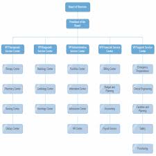 Organizational Chart Maker Hospital Org Chart Examples Org Charting