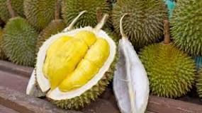 Why durian is banned?