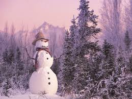 Image result for snowman aesthetic
