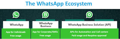 Discover mass text messaging and how sending bulk sms can transform your business. Difference Between Whatsapp Whatsapp Business And Whatsapp Business Api