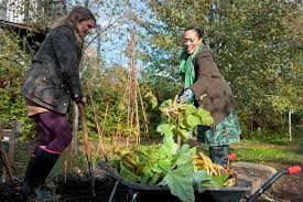 vegetables you can grow in the winter