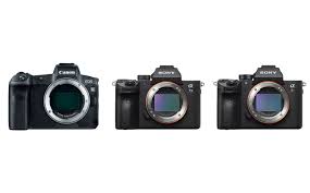 Canon Eos R Vs Sony A7 Iii Vs Sony A7r Iii