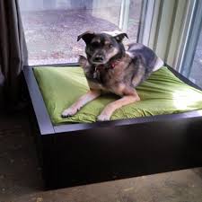 From living room sofas and sofa beds, bedroom wardrobes and storage as well as workspace desks and chairs, ikea. Every Dog Owner Should Know About These 11 Ikea Hacks