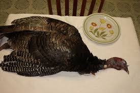 cleaning and cooking a wild turkey