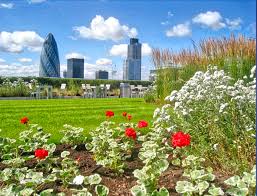 An Introduction To Intensive Green Roofs