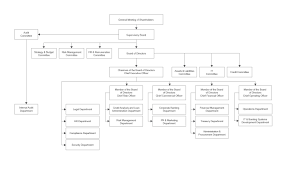 Pasha Bank Organizational Chart