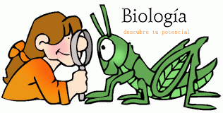 Resultado de imagen para biologia dibujos