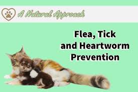 flea tick and heartworm prevention