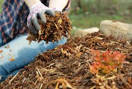garden mulch 5 reasons to use mulch