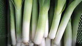 Are leeks good for you?