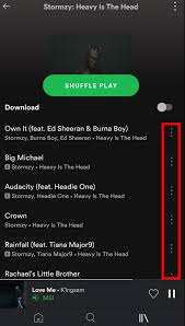 Just like on the desktop app, all tracks included in a song's radio can be added to your remove tracks from your playlist from the spotify desktop app. How To Make A Spotify Collaborative Playlist