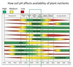 The Andersons Plant Nutrient Group