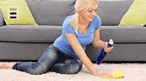 best carpet cleaning solution klfy com
