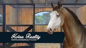 Accurate conformation of the horse and breed; Home Horse Reality