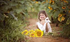 Sunflowers Child Photography